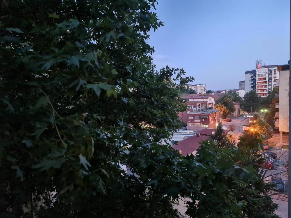 Center Cosy Apartment Skopje Zewnętrze zdjęcie
